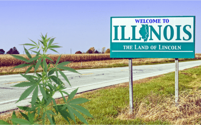 Cannabis Security Compliance in Illinois