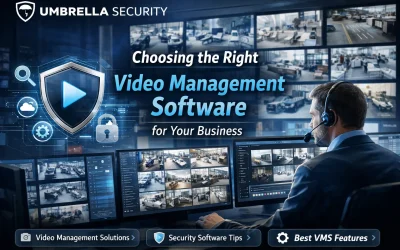 Blog 7 Business Video Management Software: Your Complete Guide