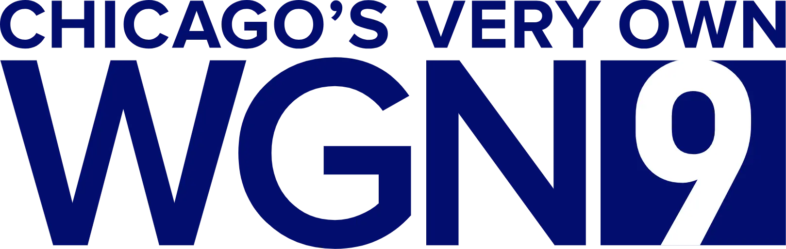 Commercial Security Systems Chicago | Umbrella Security Systems 7 WGN 9